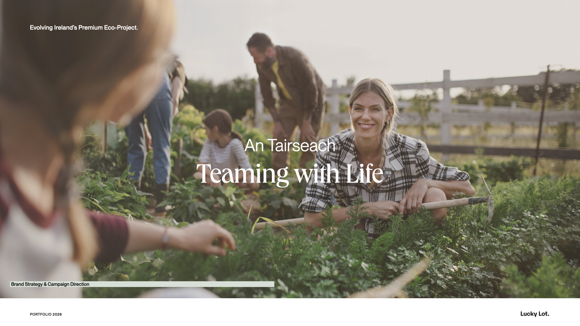 Lucky Lot portfolio — selected work